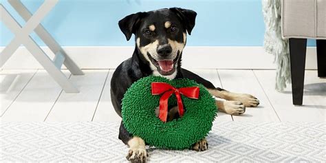 presents for dog owners uk